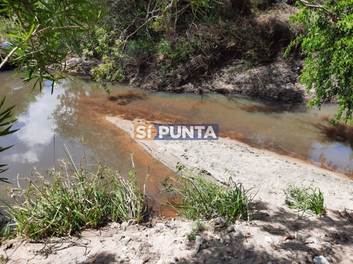Imagen 5 de 22 de Linda Chacra De 5 Has En Las Cañas