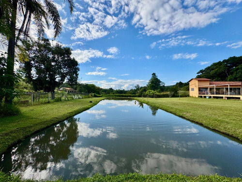 Parque Dos Lagos