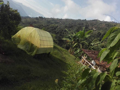 Venta De Finca Vereda Zarcitos Corregimiento De Versalles 