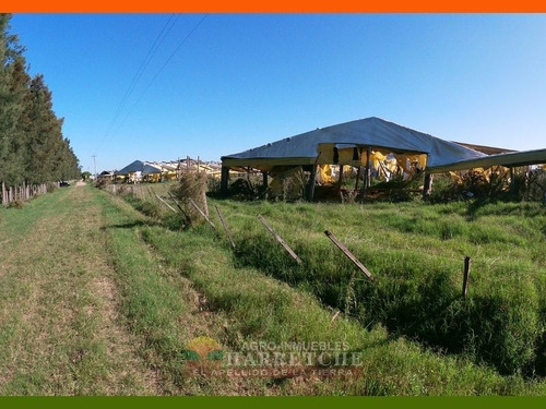 Chacra 10 Has En Venta - Monoambiente En Sauce
