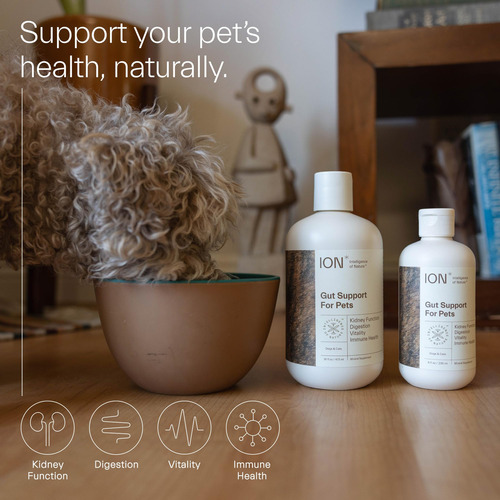 Suplemento Ion Intelligence Of Nature Gut Support 480 Ml