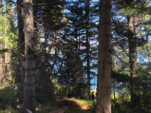 Imagen 25 de 29 de Exclusivo Lote V. La Angostura C/acceso Al Lago Nahuel Huapi Y Muelle, Apto 2 Uf