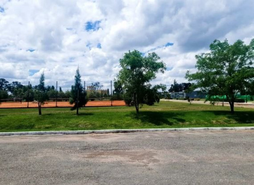 Imagen 7 de 9 de Terreno En Venta En Santo Domingo