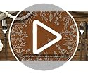 Juego De 4 Individuales Redondos De Hojas De Eucalipto Nara