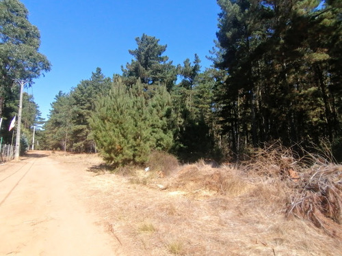 Parcela, Plana, A Orillas Del Camino Antiguo A Las Docas