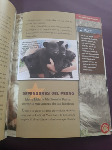 Sin Refugio Por Un Mundo Más Amable Con Los Perros (Usado)