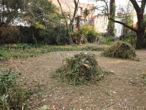 Venta De Terreno En Las Aguilas, Alcaldía Alvaro Obregón