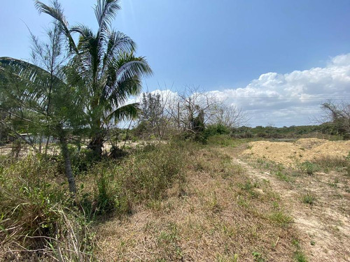 Renta Terreno 1120 M² Col. Isla De Los Potreros Tuxpan Veracruz
