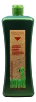 Comprar Salerm Biokera ® Shampoo Especifico Anti Caida 1000ml Regenera Detiene Caida Del Cabello Ginseng Y Ginkgo Biloba