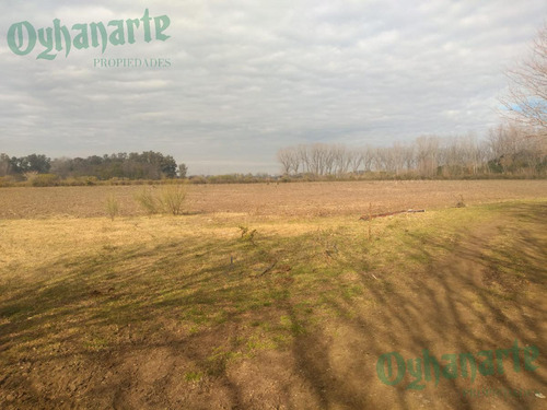 Imagen 18 de 21 de Venta De Campo De 23 Hectáreas En General Rodriguez.