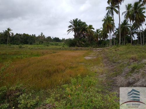 Granja A Venda Em Tibau Do Sul