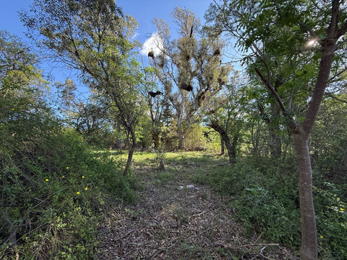 Terreno En Venta Con Costa De Rio - 3990 Metros - Escritura
