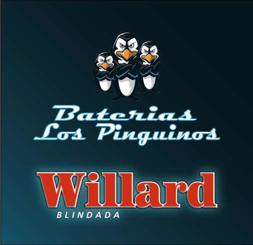 Imagen 2 de 3 de Batería Willard Moura , Venta Colocación Y Control