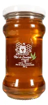 Comprar Miel De Abeja De Eucalipto 100% Natural Del Buncker 300g