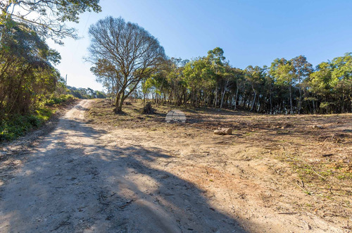 Imagem 6 de 30 de Chácara - Residencial - 936672