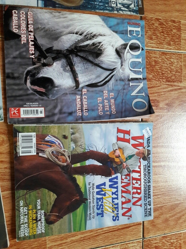 Lote De 10 Revistas De Caballos