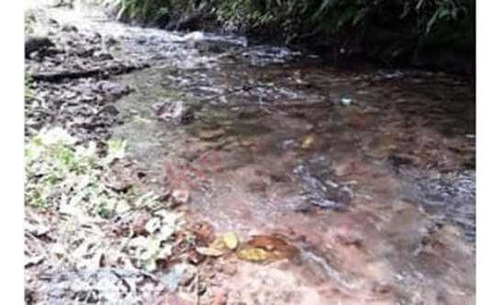 Imagen 5 de 8 de Terreno En Venta En Camino A San Simón Con Un Rio