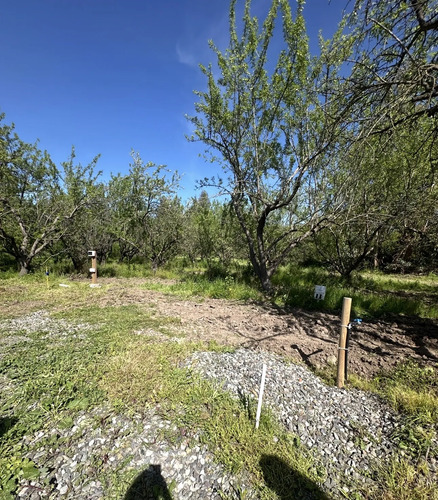 Acceso Sur- Rio Maipo- Curihue/ -parcela Con Luz Y Agua Inst