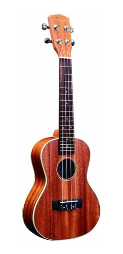 Ukelele Concierto Caoba Ashland Cenefa Abs Uk225c 