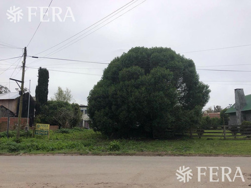 Imagen 4 de 8 de Venta De Terreno En Mar Del Plata (27774)