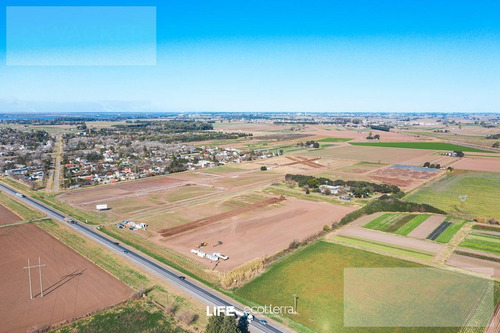 Imagen 16 de 25 de Ecotierra Norte - 456 M2