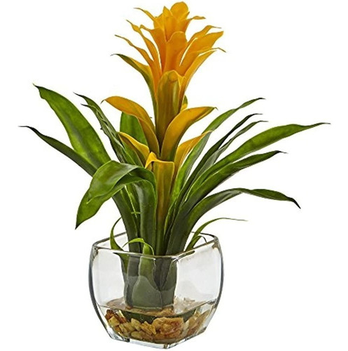 Bromelia 6897-ilo Casi Natural Con Arreglo De Florero De Vid