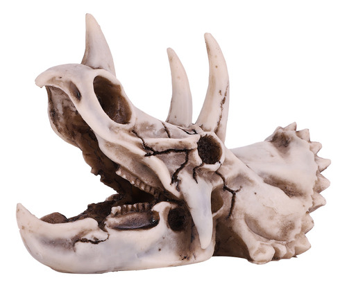 Esqueleto Simulado De Modelo De Cráneo De Dinosaurio Tricera