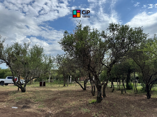 Venta De Lote En Carpintería Sobre Camino Del Indio