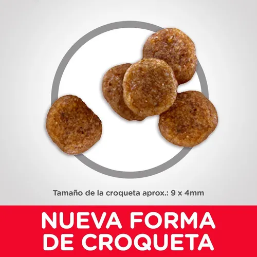 Alimento Hill's Adult 7+ Small Bites Para Perro 2 Kg