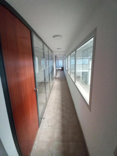 Imagen 6 de 10 de Depósito - Don Torcuato