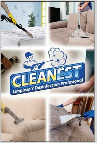 Imagen 6 de 6 de Servicio Profesional De Limpieza De Alfombras