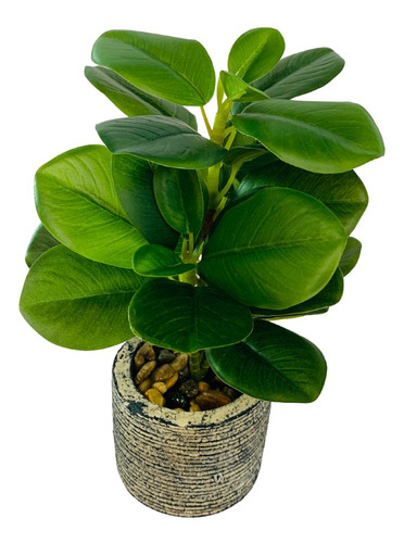 Arranjo De Flor Artificial Peperômia Sortido 28cm - Vencedor