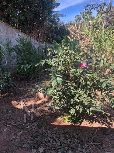 Imagem 14 de 22 de Casas À Venda Em Mairiporã/sp - Compre A Sua Casa Aqui! - 1480692