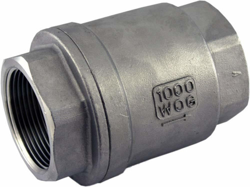  Vcvwogf Vertical Check Valve,  Stainless Steel,  Npt S...