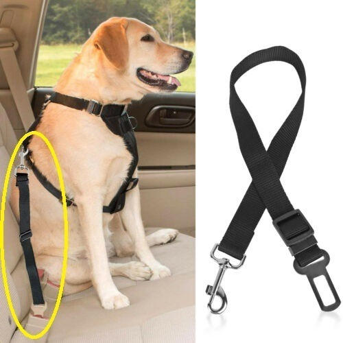 Imagen 7 de 7 de Cinturón De Seguridad Para Perros Auto,correa,mascota