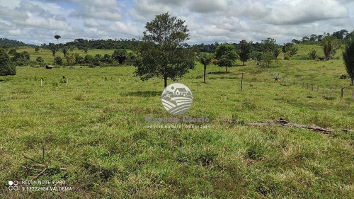 Imagem 16 de 21 de Venda Sítio Ariquemes Em Rondônia - Siv110