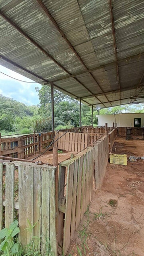 Solo Clientes. Finca En Venta Ubicada En Montaban 6 Hectáreas. Mr