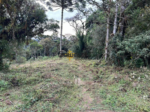 Imagem 6 de 9 de Chácara À Venda No Bairro Colônia Murici - São José Dos Pinhais/pr - 5864