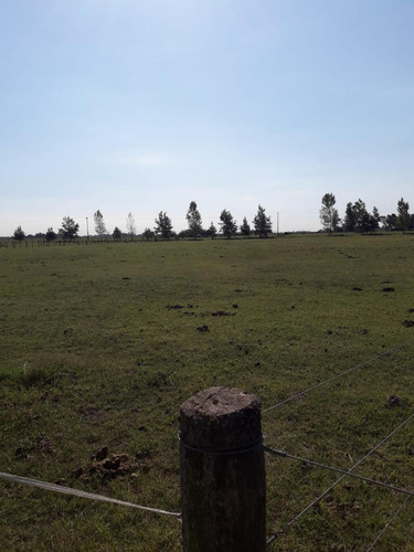 Terreno En Venta - 12000mts2 - Chacras De Abbott, San Miguel Del Monte