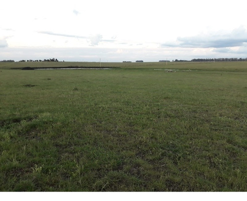 Exelente Campo Agrícola 390 Hectáreas