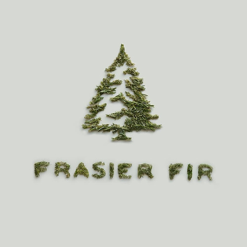 Thymes Frasier Fir Candle - Heritage Pine Needle Needle Lumi