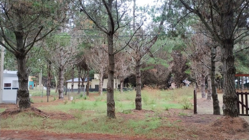 Hermoso Terreno En El Barrio  Pinar Chico  De La Lucila Del Mar