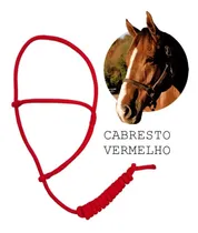 Comprar Cabrestinho Reforçado Para Cavalo Guia Cabresto De Corda 
