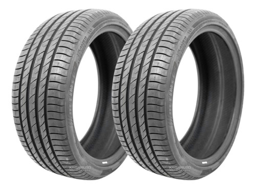 2 Pneu 245/45 19 102y Bmw X3 Audi Q3 Delinte Ds2