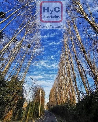 Imagen 6 de 21 de Venta Terreno 7500 M2 Con Bosque, En Idahue ¡mejor Precio!
