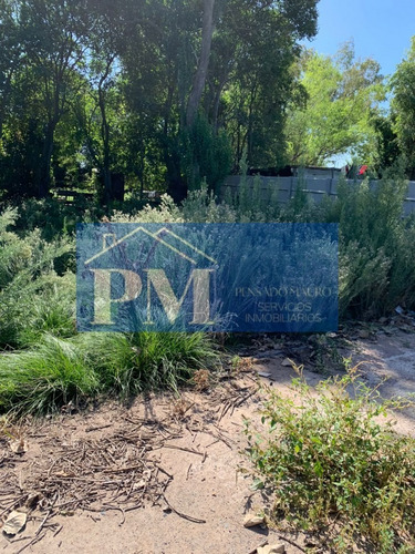 Terreno En Venta En Velloso