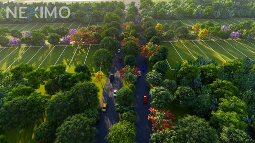Imagen 3 de 5 de Venta De Lotes Entre Playa Sisal Y Hunucmá, Yucatán, Mex.