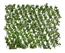 Comprar Biombo De Hojas Verdes D Celosia De Hojas Decorativa Eventos