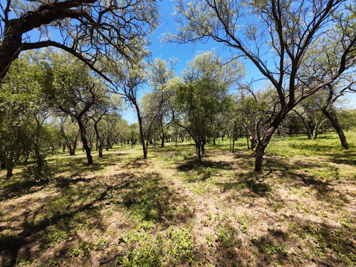 Terrenos En Traslasierra