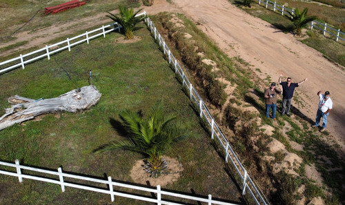 Gran Parcela Con Casa De Cuidador